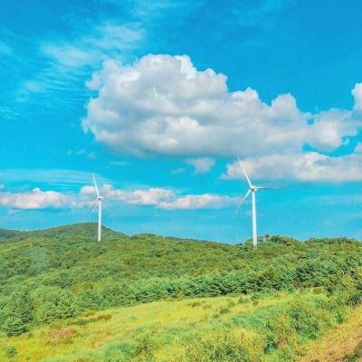 蓝图计划内购破解版下载